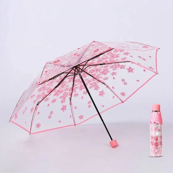 Transparent Umbrella Gallery 5