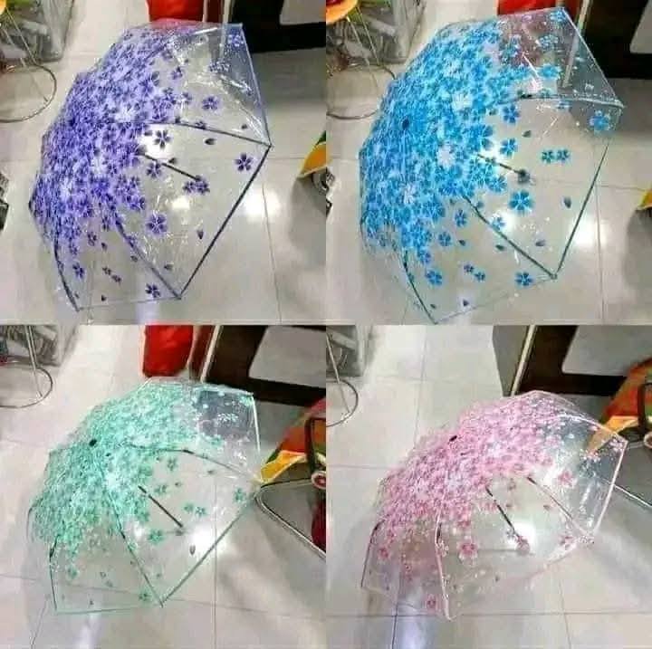 Transparent Umbrella Main