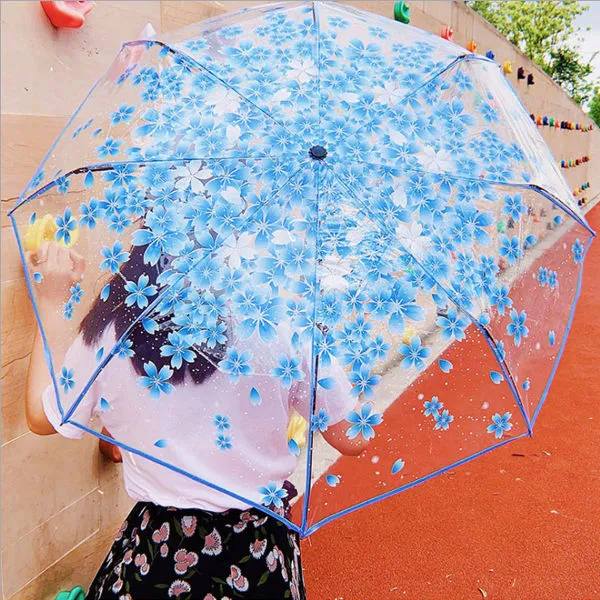 Transparent Umbrella View 2