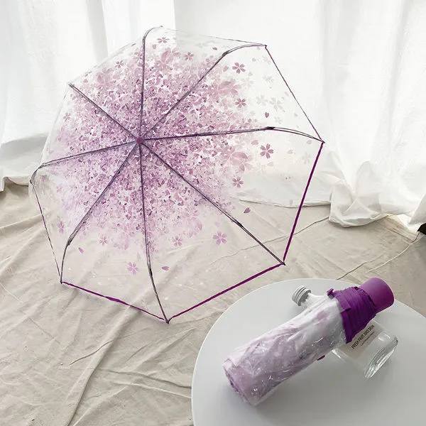 Transparent Umbrella View 1