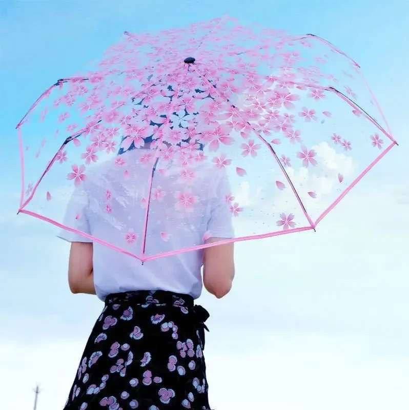 Transparent Umbrella Gallery 4