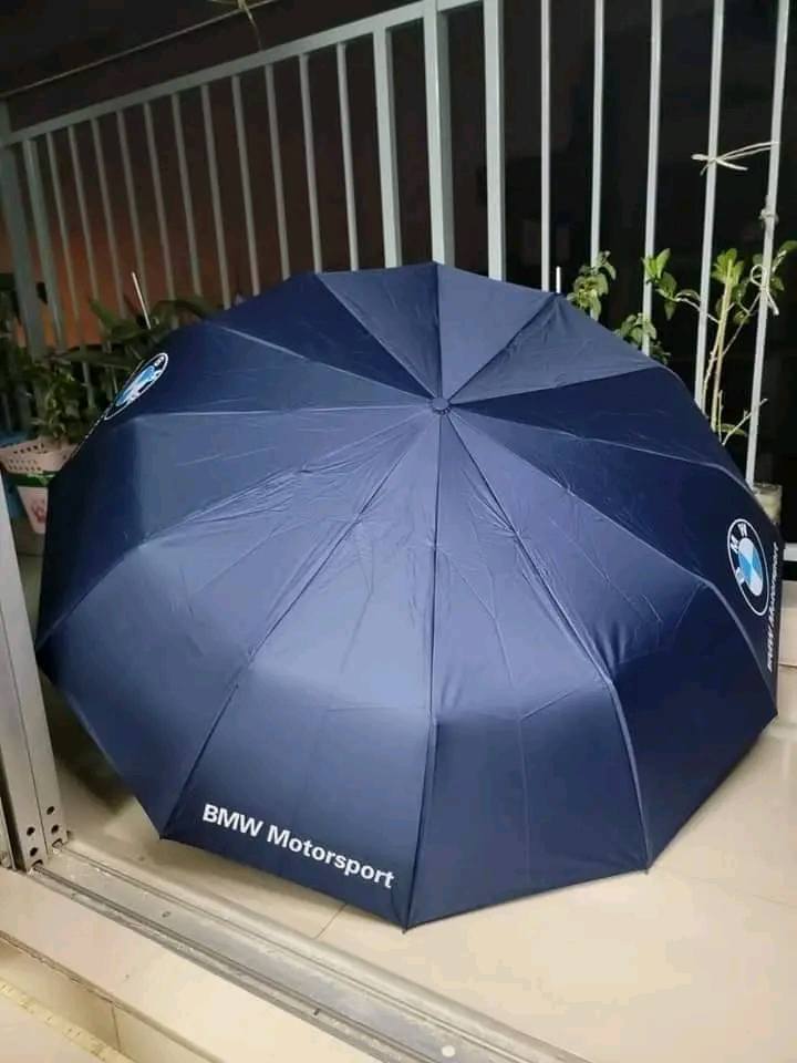 BMW Details 1
